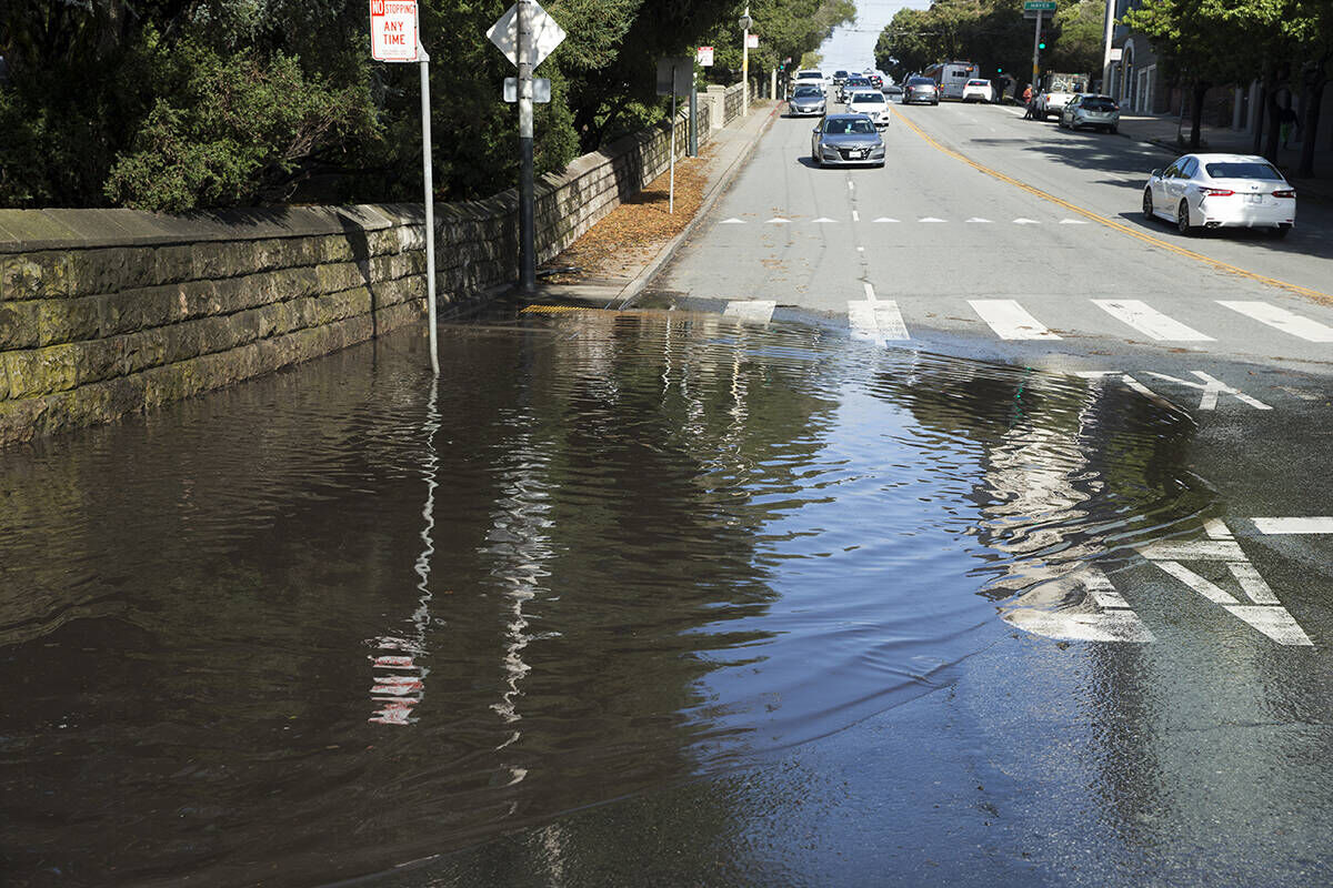 After the rain: What San Francisco learned from a monster storm